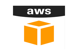 Amazon Web Services(AWS)